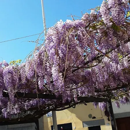 Appartamento Lovely In Firenze
